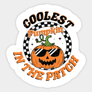 Coolest Pumpkin In The Patch Halloween Sticker